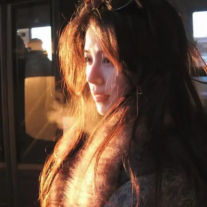 动物狂想曲第一季