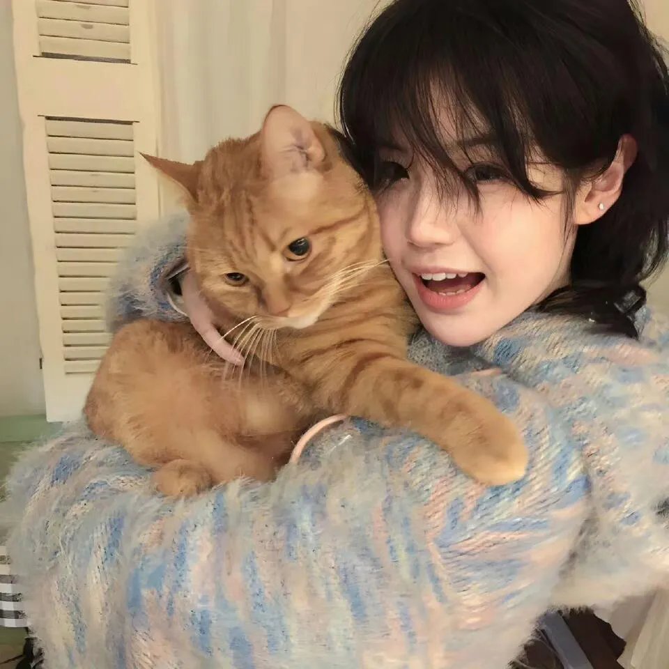 砰!美女保镖,你被开除了